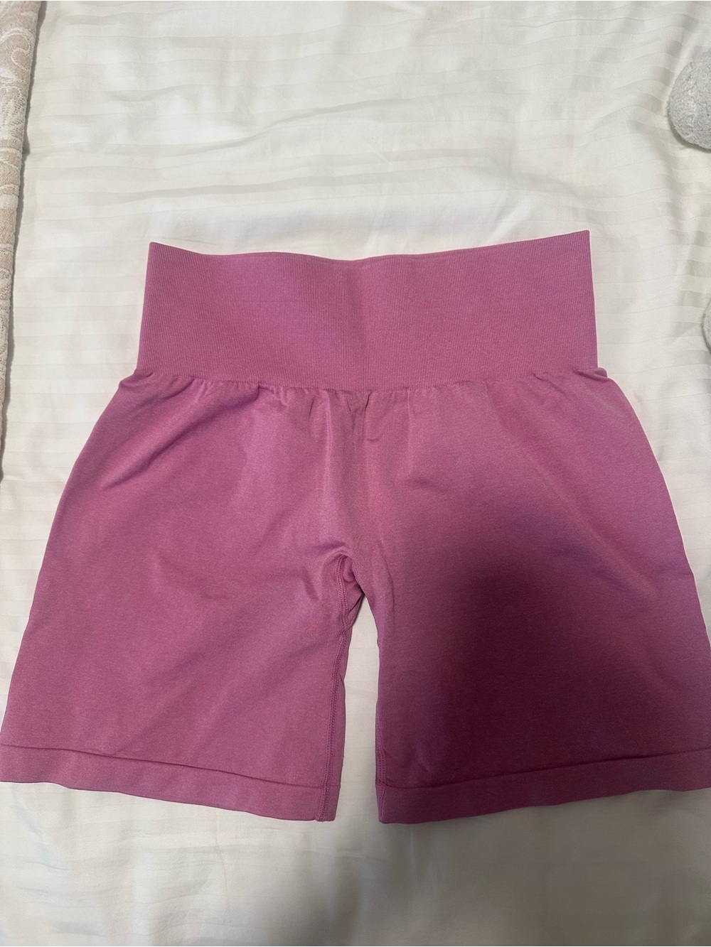 NVGTN seamless shorts
